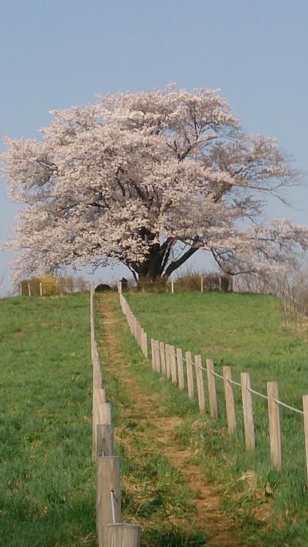 Active Resorts Iwate Hachimantai 八幡平市 外观 照片